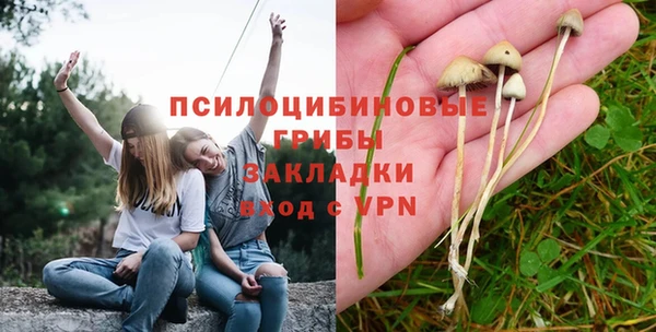 экстази Арсеньев