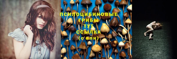 трава Армянск